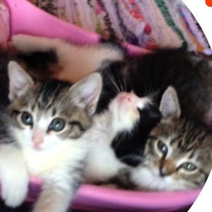 Meet your Posher, Deborah